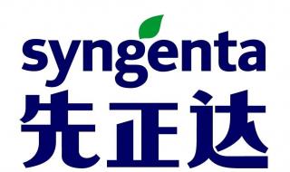 先正达上市时间 先正达上市时间