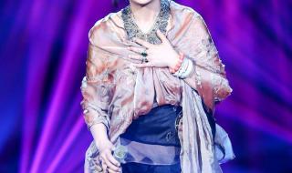 我是歌手第11期 我是歌手第11期