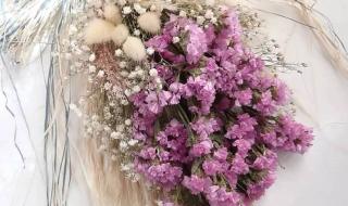 送你一朵勿忘我 送你一朵勿忘我