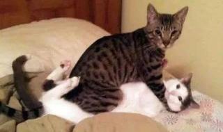 重金属摇滚 重金属摇滚