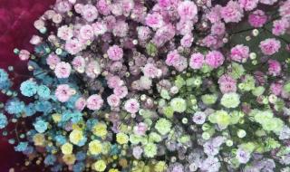 十部颜色满天星电影