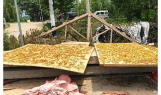 忘忧草代表什么意思 忘忧草代表什么意思