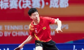 16年世乒赛男团决赛 16年世乒赛男团决赛